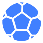 南非女聯(lián)logo